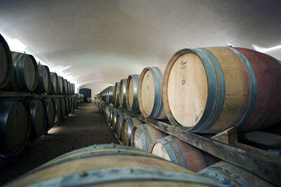 Il Molino di Grace: Vineyard & Cellar Tour with Wine Tasting - Final Thoughts: Is This Tour Right for You?