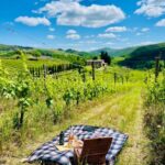 Il Molino di Grace: Vineyard Tour, Wine Tasting, and Picnic - Who Will Love This Experience?