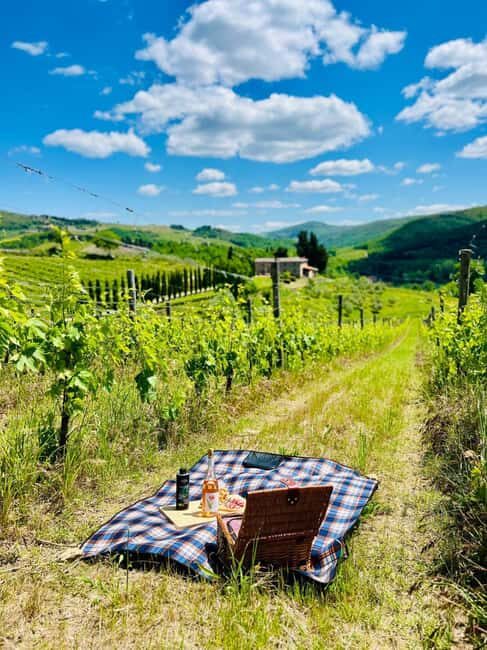 Il Molino di Grace: Vineyard Tour, Wine Tasting, and Picnic - Who Will Love This Experience?