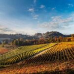 Il Monsù: A Journey through Nebbiolo, Barbaresco, and Barolo - Practical Details and Value