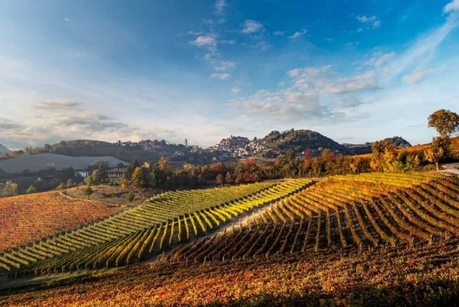 Il Monsù: A Journey through Nebbiolo, Barbaresco, and Barolo - Practical Details and Value