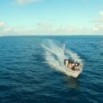 Ile aux Cerf: Speed boat with Parasailing & Tube Riding and Lunch - Final Thoughts