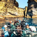 Ilhéu de Vila Franca: Guided Eco Boat Tour with Biologist - Wildlife and Natural Highlights