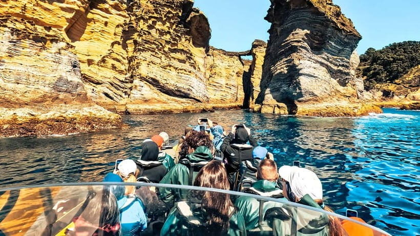 Ilhéu de Vila Franca: Guided Eco Boat Tour with Biologist - Wildlife and Natural Highlights