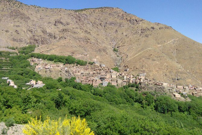 Imlil and Atlas Mountains Day Trip from Marrakech - Visiting the Berber Market in Asni