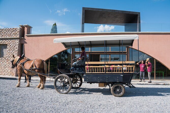 In a carriage among the vineyards, visit of the cellar, tasting of organic wines. - Practical Details for Visitors
