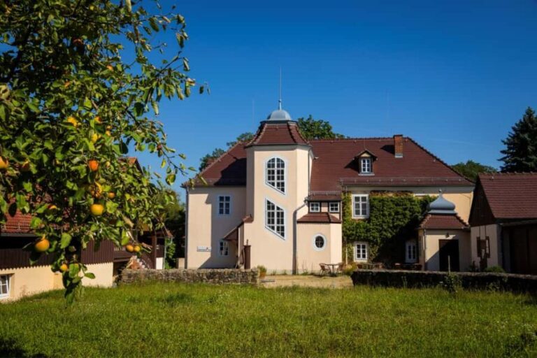 In the shadow of Moritzburg Castle  guided tour of the town center - Discovering Moritzburg’s Origins and Architecture