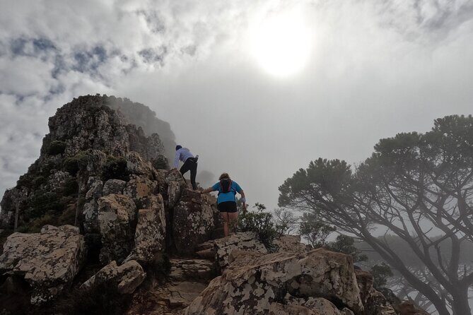 Incredible Table Mountain Guided Day Hike or Trail Run - Why Choose This Tour?