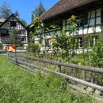 Interlaken: Ballenberg Swiss Open-Air Museum Tour - Key Points