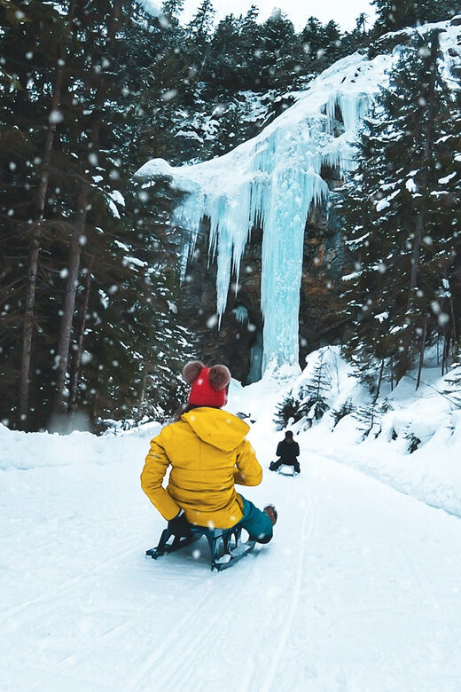 Interlaken: Guided Sledging Adventure - What to Expect From the Tour