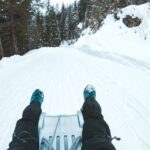 Interlaken: Winter Alpine Adventure - Snowshoe and Sledding - What to Expect on the Snowshoe Hike