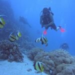Intro Diving Beginner and Discover Red Sea Underwater - FAQ