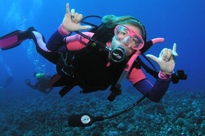 Intro/Refresher Dive Swim Ability Required - The Value of the Experience