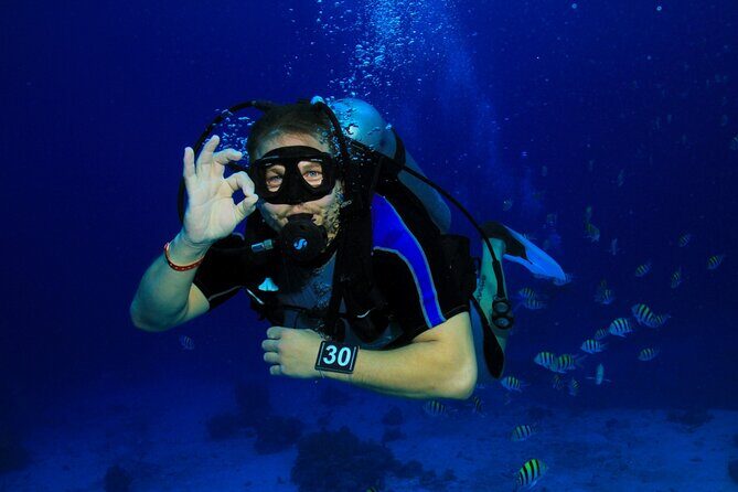 Intro Scuba Diving: 2 Dive Stops With Lunch & transfer - Hurghada - Authentic Insights from Reviewers