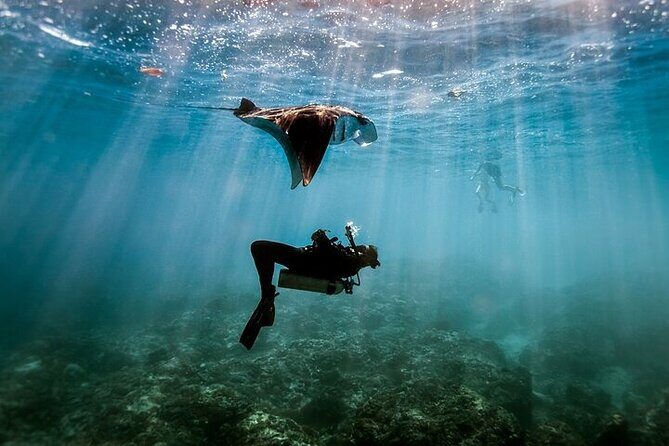 Intro Scuba Diving for beginners With (Lunch,Transfer)  Hurghada - FAQs