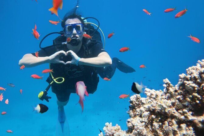 Introduction: Diving from the Reef in Sharm El Sheikh - Practical Details and Logistics