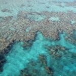 Introductory Dive in Eilat - Analyzing the Value: Is It Worth It?