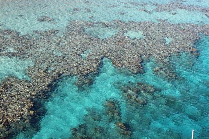 Introductory Dive in Eilat - Analyzing the Value: Is It Worth It?