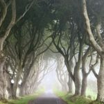 Ireland: Belfast City and Giants Causeway Tour - What the Tour Includes and Why It Matters