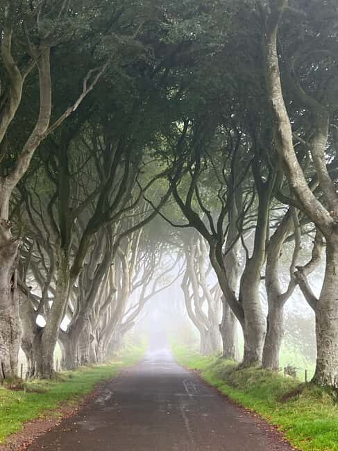 Ireland: Belfast City and Giants Causeway Tour - What the Tour Includes and Why It Matters