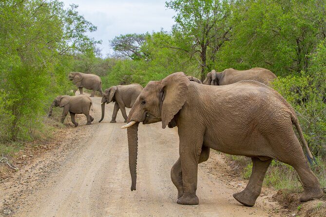 iSimangaliso Sunset Game Drive - Additional Details and Practical Tips