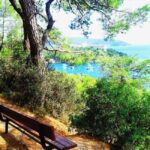 Istanbul: 3 Princes' Islands Cruise with Lunch and Guide - Burgazada: The Quiet Little Gem