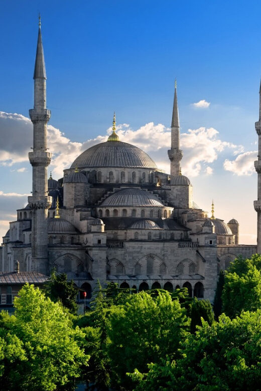 Istanbul: Basilica, Hagia Sophia, Blue Mosque Tour & Cruise - Analyzing the Value