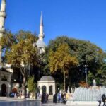 Istanbul: Full Day Islamic Sahaba Tour with Lunch & Transfer - Authentic Experiences and Insights from Reviews