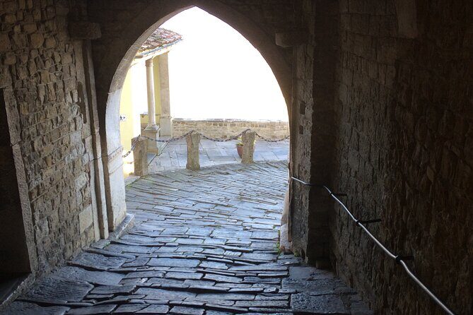 Istria Private Day Trip - Deep Dive into the Itinerary