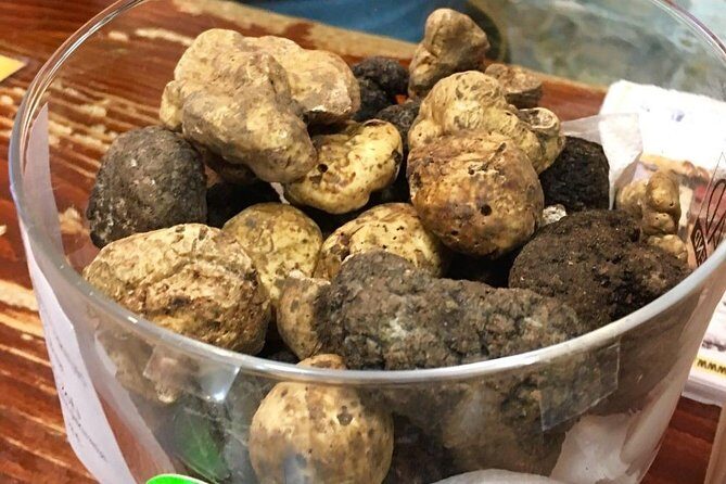 Istrian hill top cities tour with truffle and olive oil tasting - Final Thoughts