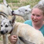 Ivalo: Evening Tea with Huskies and Farm Visit - What’s Included and What to Expect