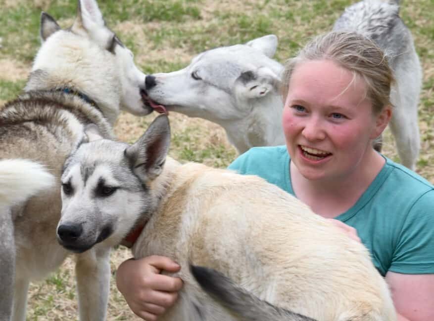 Ivalo: Evening Tea with Huskies and Farm Visit - What’s Included and What to Expect