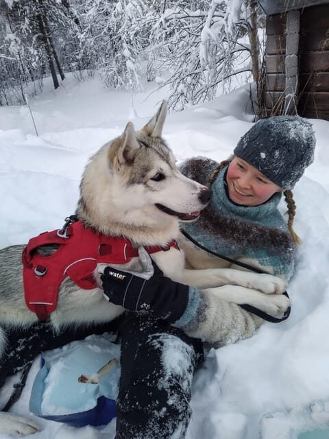 IVALO: Experience Farm Visit | small group - Seasonal Tasks and Activities