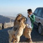 Jabl Shams with Nizwa for tours and sightseeing - Who Is This Tour Best For?