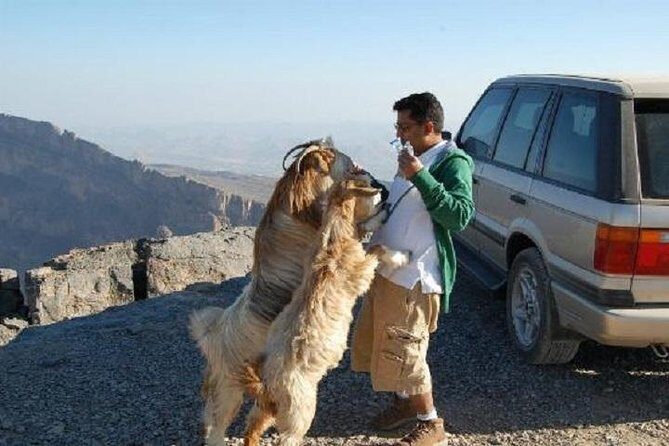 Jabl Shams with Nizwa for tours and sightseeing - Who Is This Tour Best For?