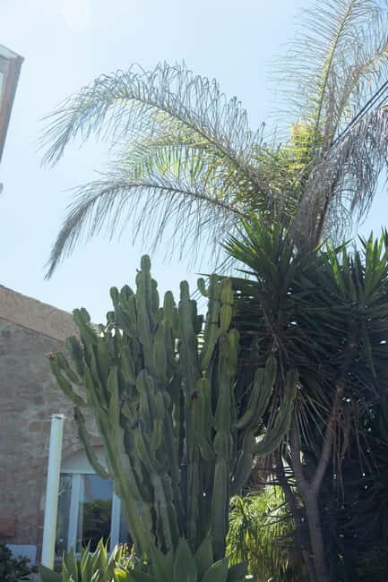 Jávea: 19/09 - Yoga & Brunch with Coffee/Tea, Juice & Cava - The Yoga Session: Refreshing and Inclusive