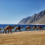 Jeep Adventure to Canyon Salama and Dahab from Sharm El-Sheikh - The Practicalities