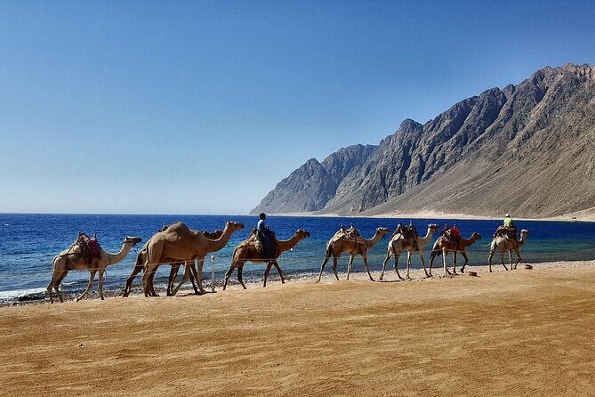 Jeep Adventure to Canyon Salama and Dahab from Sharm El-Sheikh - The Practicalities