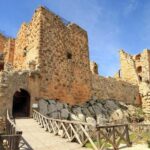Jerash, Ajloun, Umm Qais Day Trip - Who Should Consider This Tour?