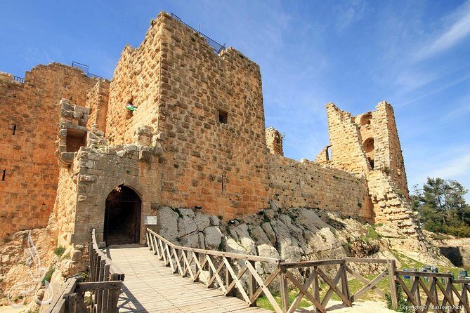 Jerash, Ajloun, Umm Qais Day Trip - Who Should Consider This Tour?