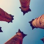 Jerash Umm Qais & Ajloun Castle Tour - The Value of This Tour