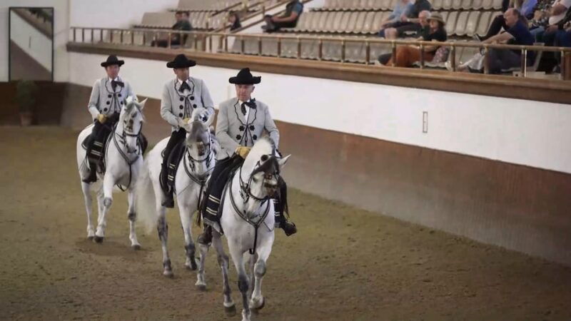 jerez-and-cadiz-private-tour-from-seville