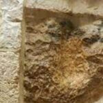 Jerusalem from Tel Aviv: Jesus Sacred Path "13" Steps of Dolorosa - Why This Tour Shines