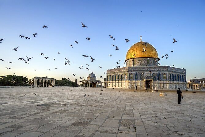Jerusalem Temple Mount & Dome of the Rock from Tel Aviv - What Travelers Say