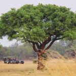 Johannesburg Like a Local: Customized Private Tour - The Itinerary: What to Expect