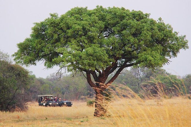 Johannesburg Like a Local: Customized Private Tour - The Itinerary: What to Expect