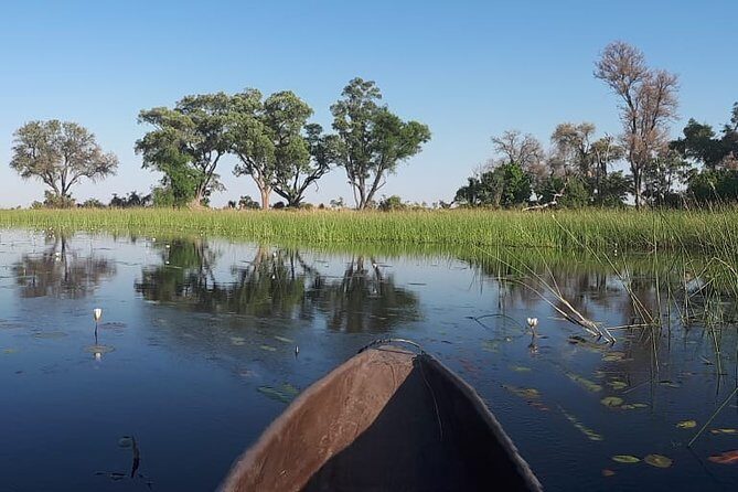 Johannesburg or Gaborone to Maun: 5 Day Rhinos, Diamonds & Okavango Delta Tour - Who should consider this tour?