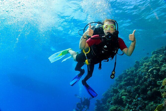 Join our Daily Diving Trip with 2 dives Transfer & Lunch-Hurghada - Why This Tour Stands Out