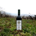 Journey Through Lebanese Wine: A Private Tour in the Beqaa Valley - The Practical Details: What’s Included and What to Consider