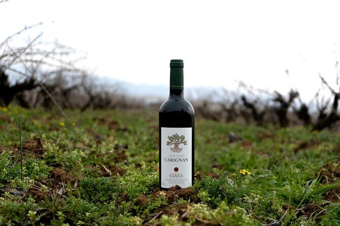 Journey Through Lebanese Wine: A Private Tour in the Beqaa Valley - The Practical Details: What’s Included and What to Consider